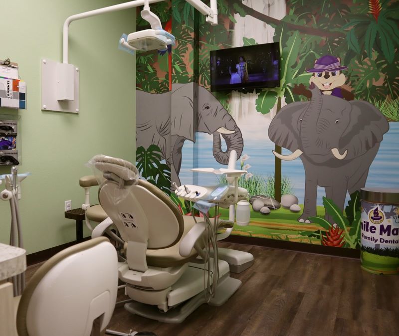 Jungle-themed treatment room at Smile Magic in Carrollton