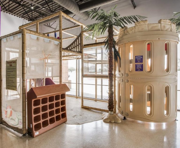 Indoor play area and shoe cubbies at Smile Magic in Lewisville